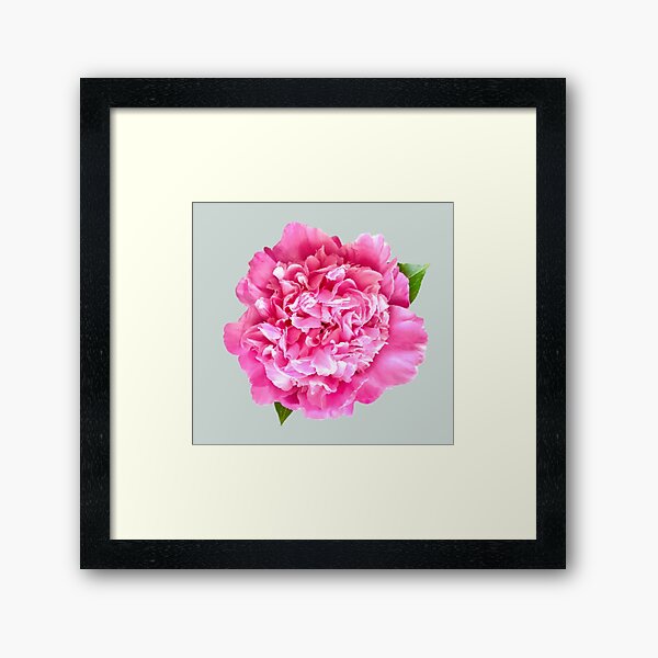 Item preview, Pink Peony with Leaves Close-up  designed and sold by InalterataArt.