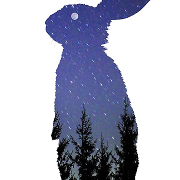 Artwork thumbnail, Moon Rabbit by CGDesignsIL