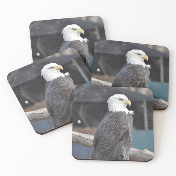Item preview, Bald Eagle designed and sold by Stybz.