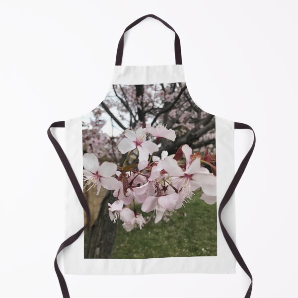 Item preview, Cherry Blossoms Photo designed and sold by xcore.