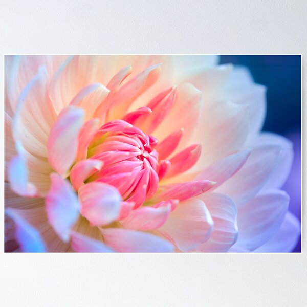 Item preview, Pretty Pastel Pink Dahlia Macro Flower designed and sold by CyaniRose.