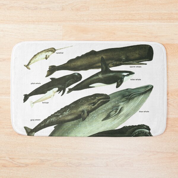 Item preview, Whale Study - Vintage Retro Cetology designed and sold by elevens.