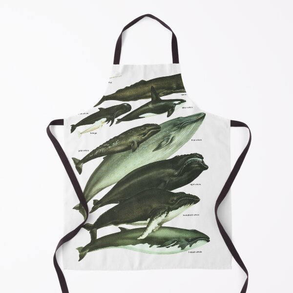 Item preview, Whale Study - Vintage Retro Cetology designed and sold by elevens.