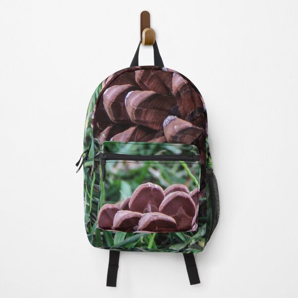 Item preview, California Pine Cone designed and sold by heatherfriedman.