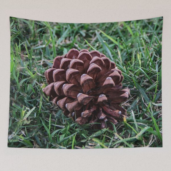 Item preview, California Pine Cone designed and sold by heatherfriedman.