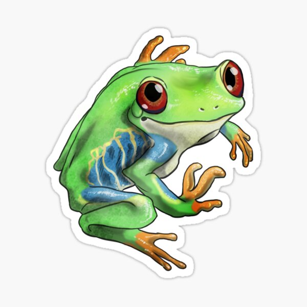 Red-eyed treefrog Sticker