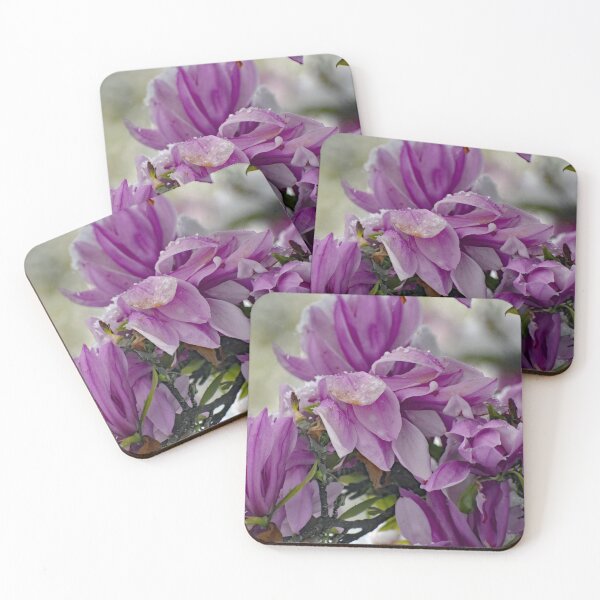 Item preview, Snow on the Magnolia Blooms designed and sold by ReneeKennedy.