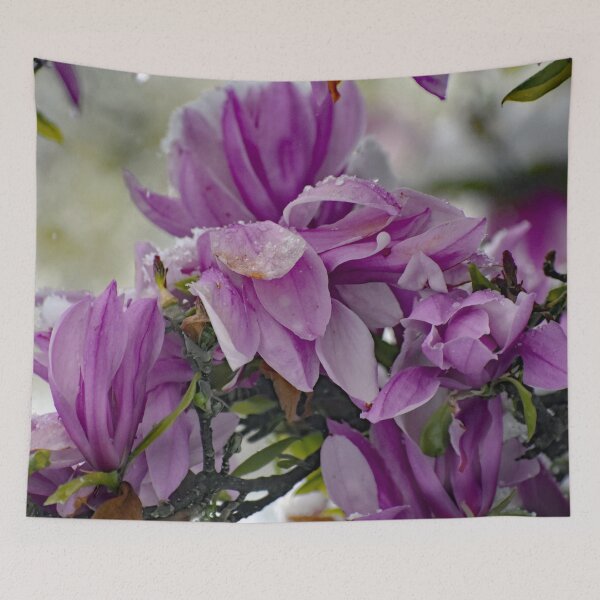 Item preview, Snow on the Magnolia Blooms designed and sold by ReneeKennedy.