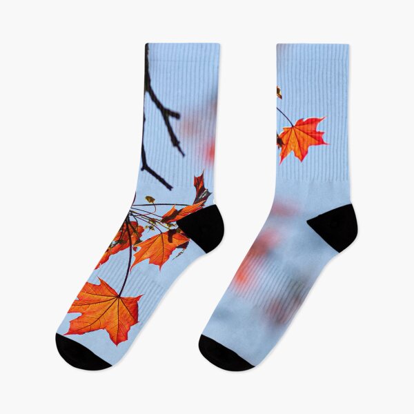 Item preview, Autumnal Leaves  clinging on to the tree, against a blue sky designed and sold by CyaniRose.