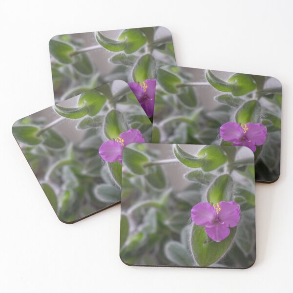 Item preview, Purple Flower Plant Photo designed and sold by Pankas.