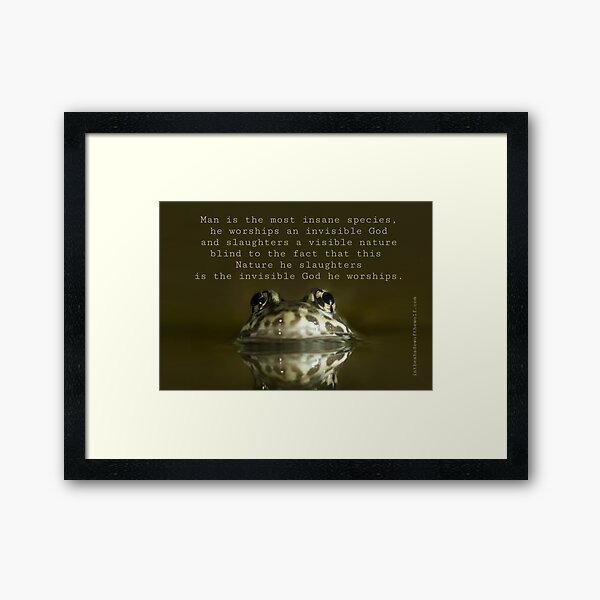 Framed Print
