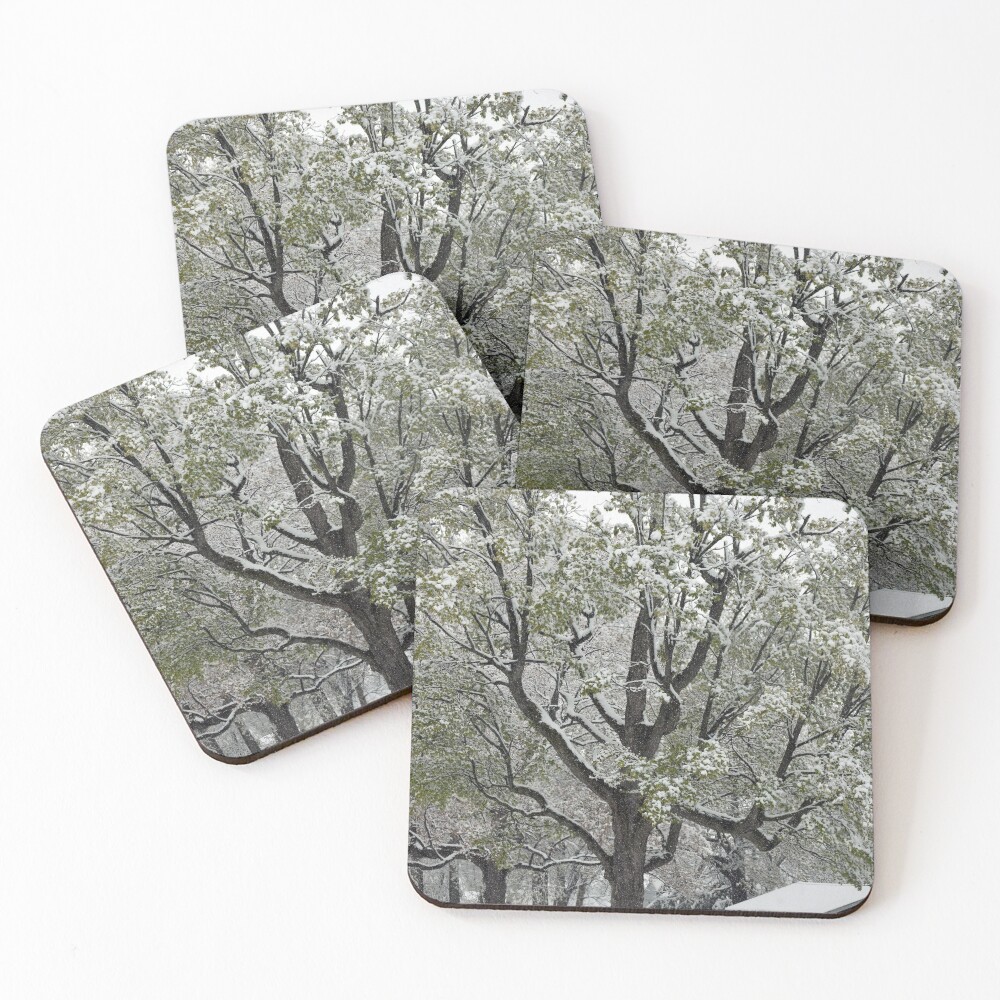 Item preview, Coasters (Set of 4) designed and sold by ReneeKennedy.