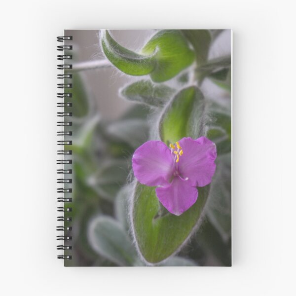 Item preview, Purple Flower Plant Photo designed and sold by Pankas.