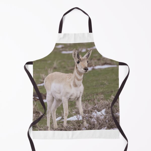 Item preview, A Young Pronghorn Buck In The Wild designed and sold by FreelanceJim.