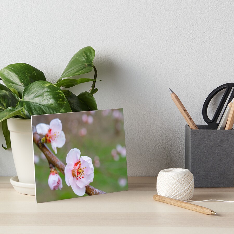 Item preview, Art Board Print designed and sold by Pankas.