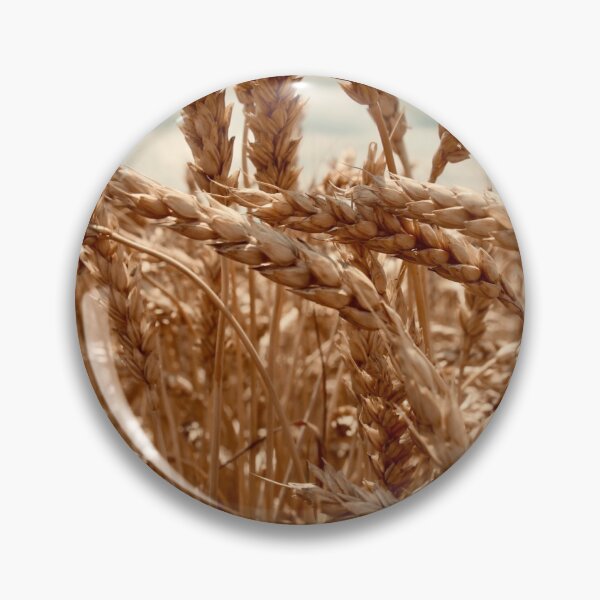 Item preview, Wheat field  designed and sold by Farmher.