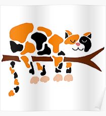 Coole flippige lustige Kaliko-Katze im Baum Poster