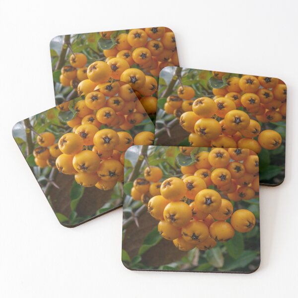 Item preview, Orange Berries Bush Photo designed and sold by Pankas.