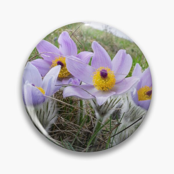 Item preview, Purple Flower Photo Print designed and sold by Pankas.