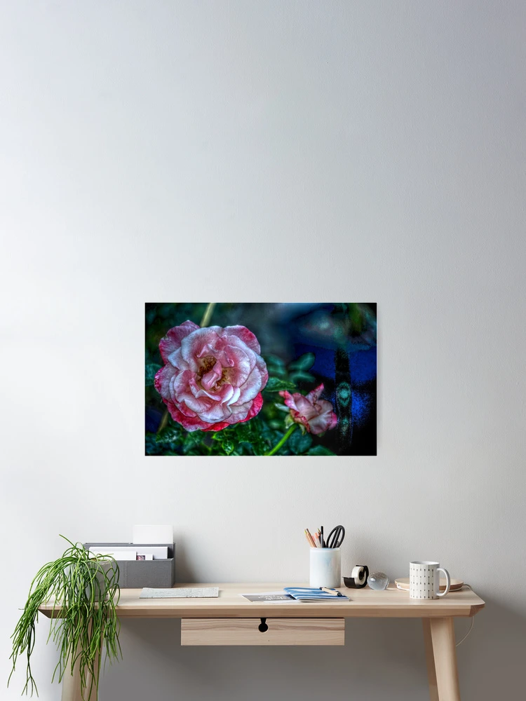 Thumbnail 2 of 3, Poster, Pink Roses designed and sold by Ronald Williams.