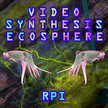Artwork thumbnail, Video Synthesis Ecosphere RPI by andrei-jay