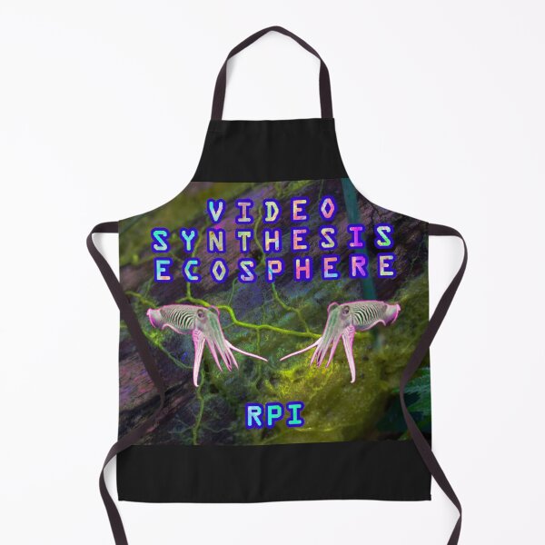 Item preview, Video Synthesis Ecosphere RPI designed and sold by andrei-jay.