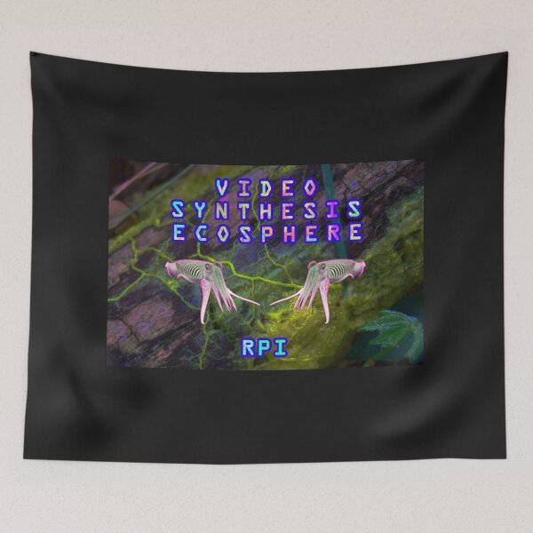 Item preview, Video Synthesis Ecosphere RPI designed and sold by andrei-jay.