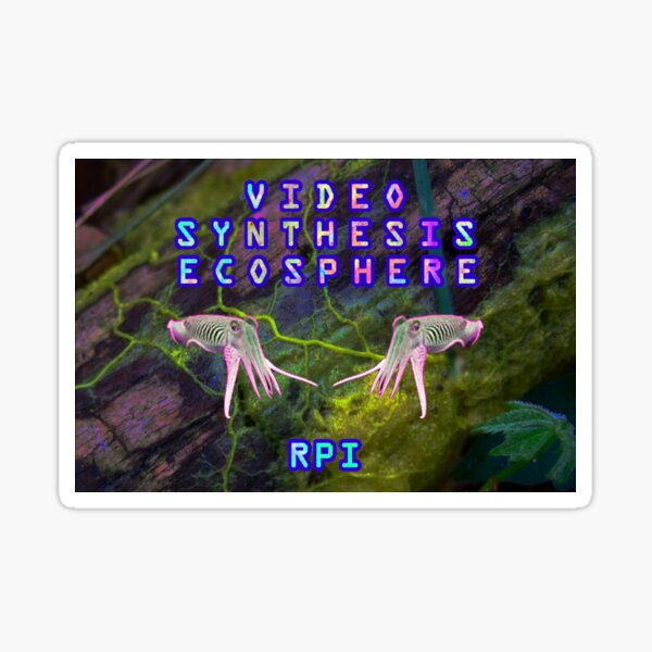 Video Synthesis Ecosphere RPI Sticker