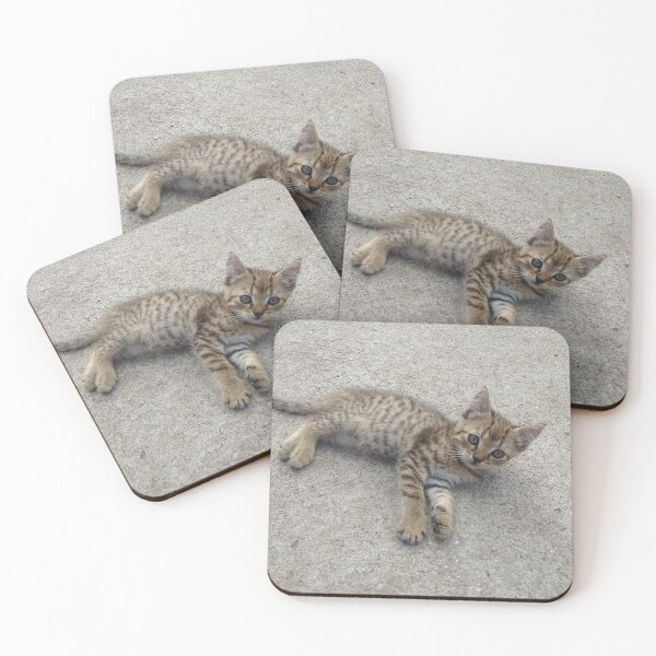 Item preview, Kitty Photo Print designed and sold by Pankas.