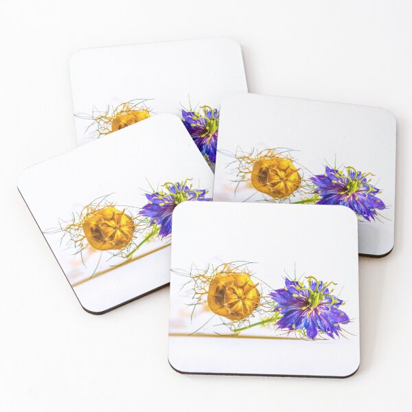 Item preview, Black seed oil flower poster designed and sold by JD369.