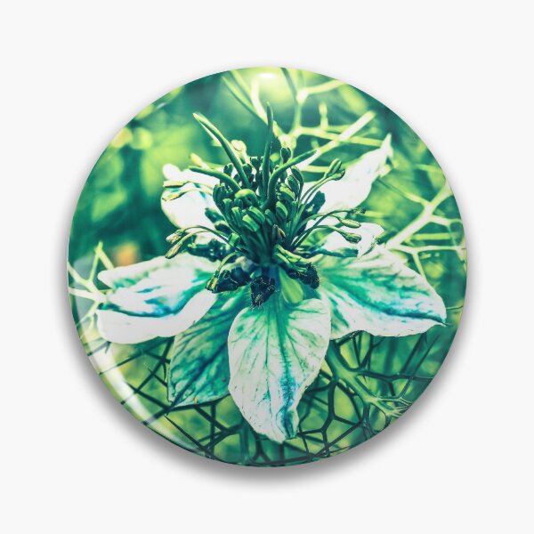 Artikelvorschau, Blume Nigella sativa Poster entworfen und verkauft von JD369.
