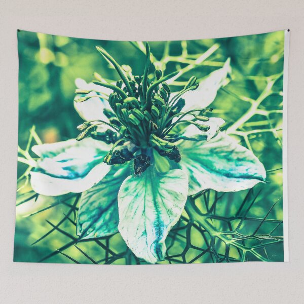 Artikelvorschau, Blume Nigella sativa Poster entworfen und verkauft von JD369.