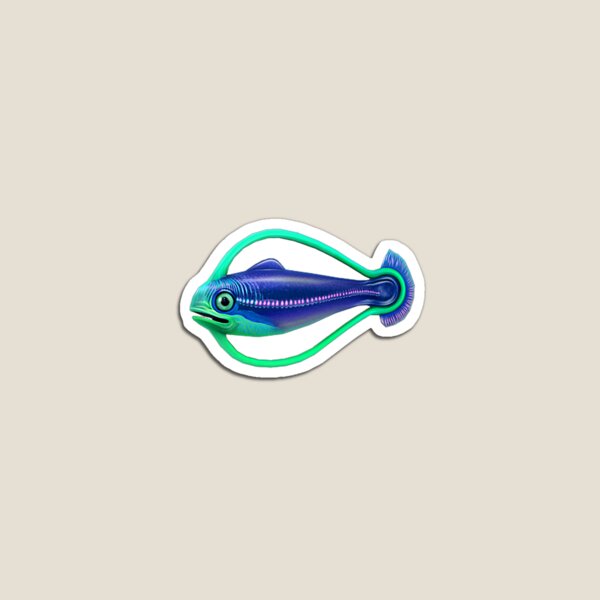 Hoop Fish Magnet