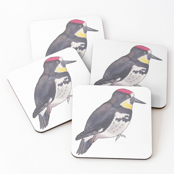 Item preview, Acorn Woodpecker watercolor bird species art designed and sold by TheWaterBirds.