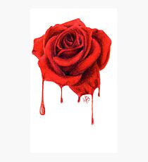 Painting the Roses Red Photographic Print