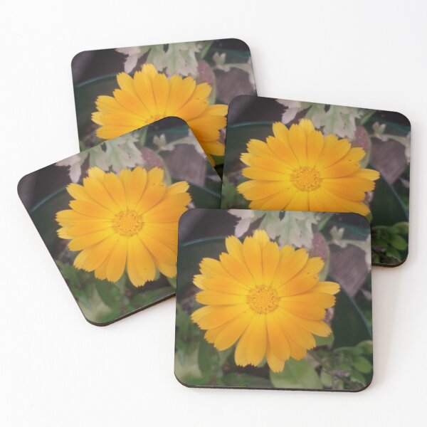 Item preview, KABFA Designs and Volksbolts, Vintage,  English Country Garden Marigold,  Flowers, flower, designed and sold by KABFA Designs.