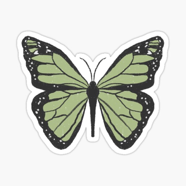 cute dainty sage green indie butterfly Sticker