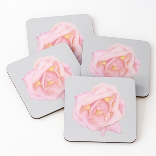 Item preview, Pale Pink Rose designed and sold by STHogan.