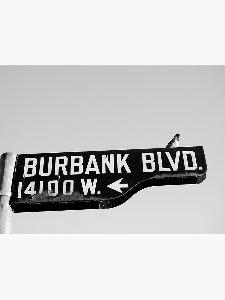 Burbank and Bird, Los Angeles, California by douglasewelch