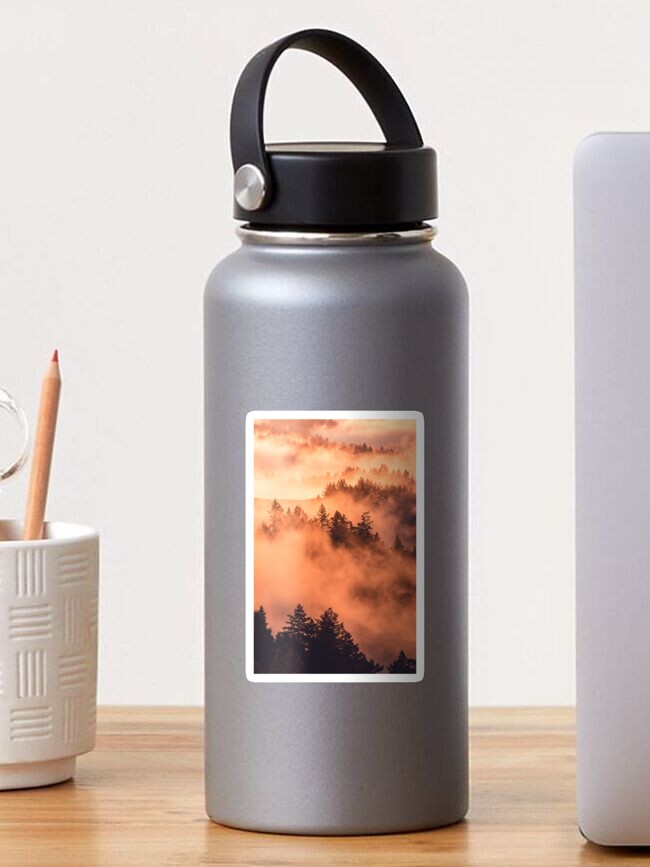 Thumbnail 1 of 3, Sticker, The forest designed and sold by Semapemodiba.