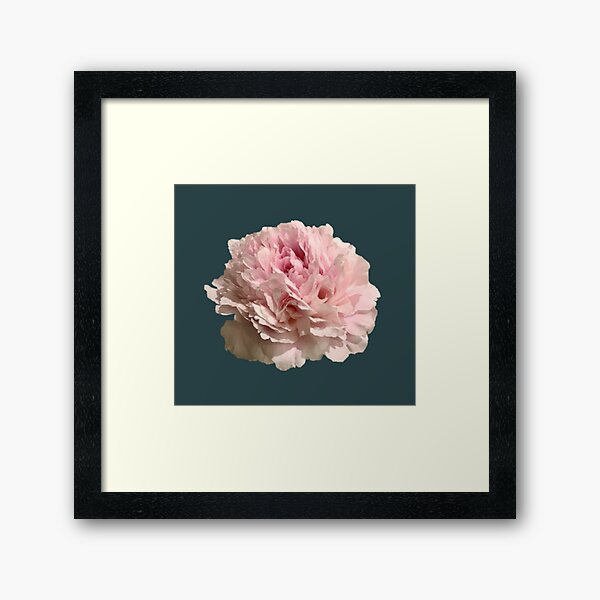 Item preview, Pale Pink Peony on Dark Teal Background designed and sold by InalterataArt.