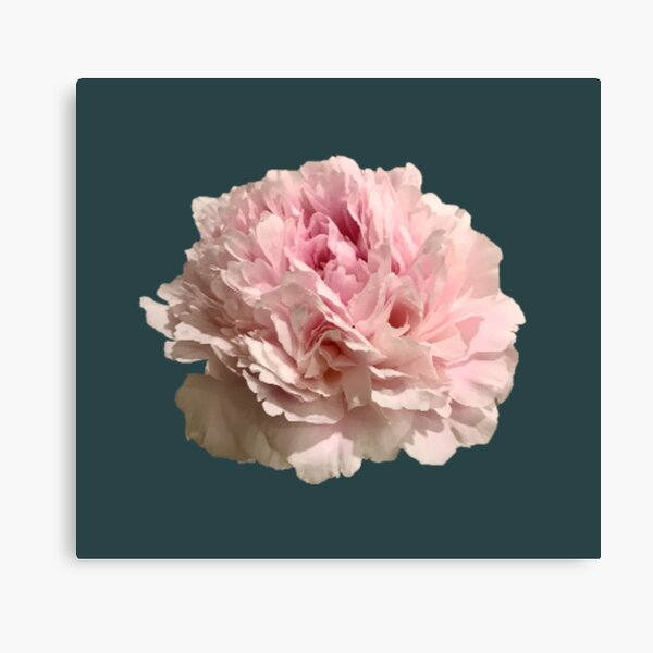 Item preview, Pale Pink Peony on Dark Teal Background designed and sold by InalterataArt.