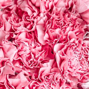 Artwork thumbnail, the pink flowers by Zachlogic
