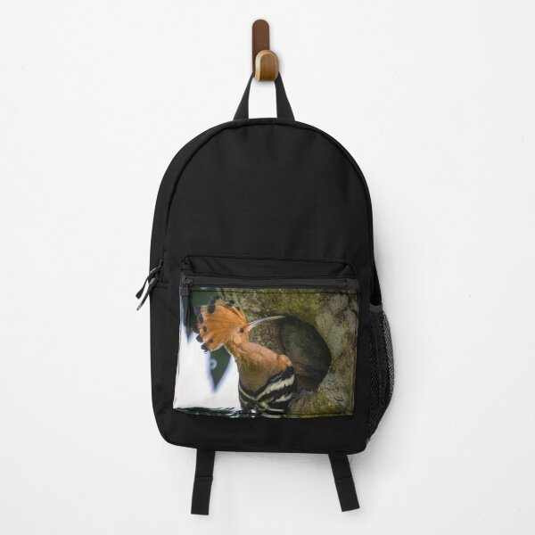 Item preview, Rare Hoopoe @ Taiping Lake Gardens, Malaysia designed and sold by David ST Loh Images.