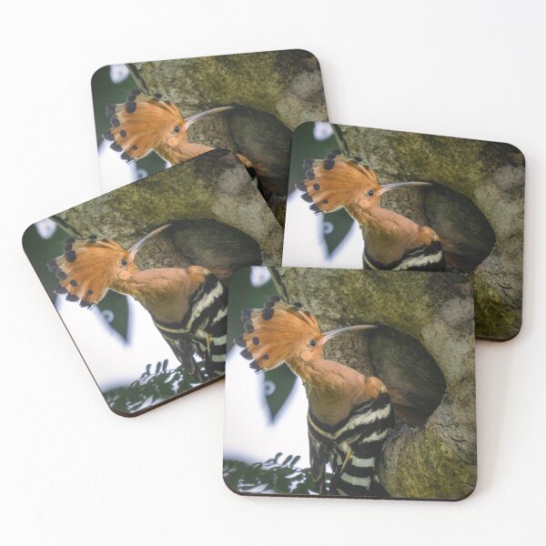 Item preview, Rare Hoopoe @ Taiping Lake Gardens, Malaysia designed and sold by David ST Loh Images.