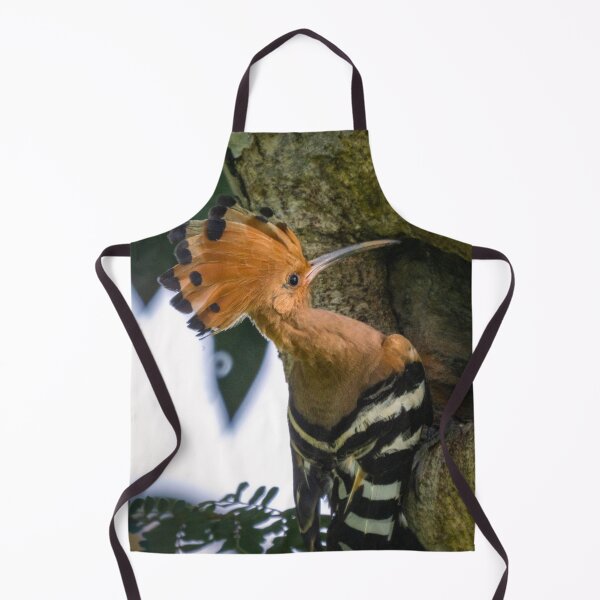 Item preview, Rare Hoopoe @ Taiping Lake Gardens, Malaysia designed and sold by David ST Loh Images.