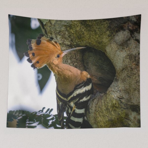 Item preview, Rare Hoopoe @ Taiping Lake Gardens, Malaysia designed and sold by David ST Loh Images.