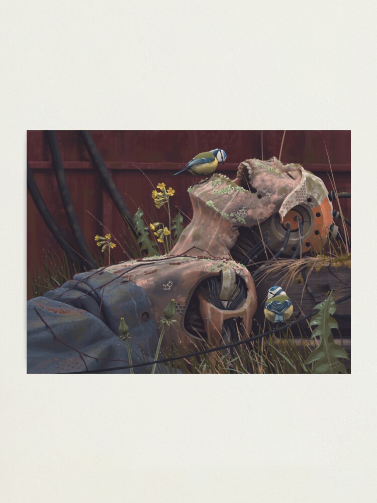 Alternate view of On the activities of primates and passerines Photographic Print