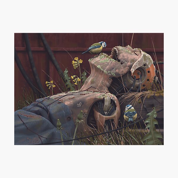 Photographic Print