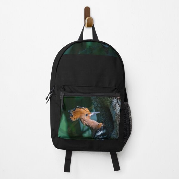 Item preview, Rare Hoopoe II @ Taiping Lake Gardens, Malaysia designed and sold by David ST Loh Images.